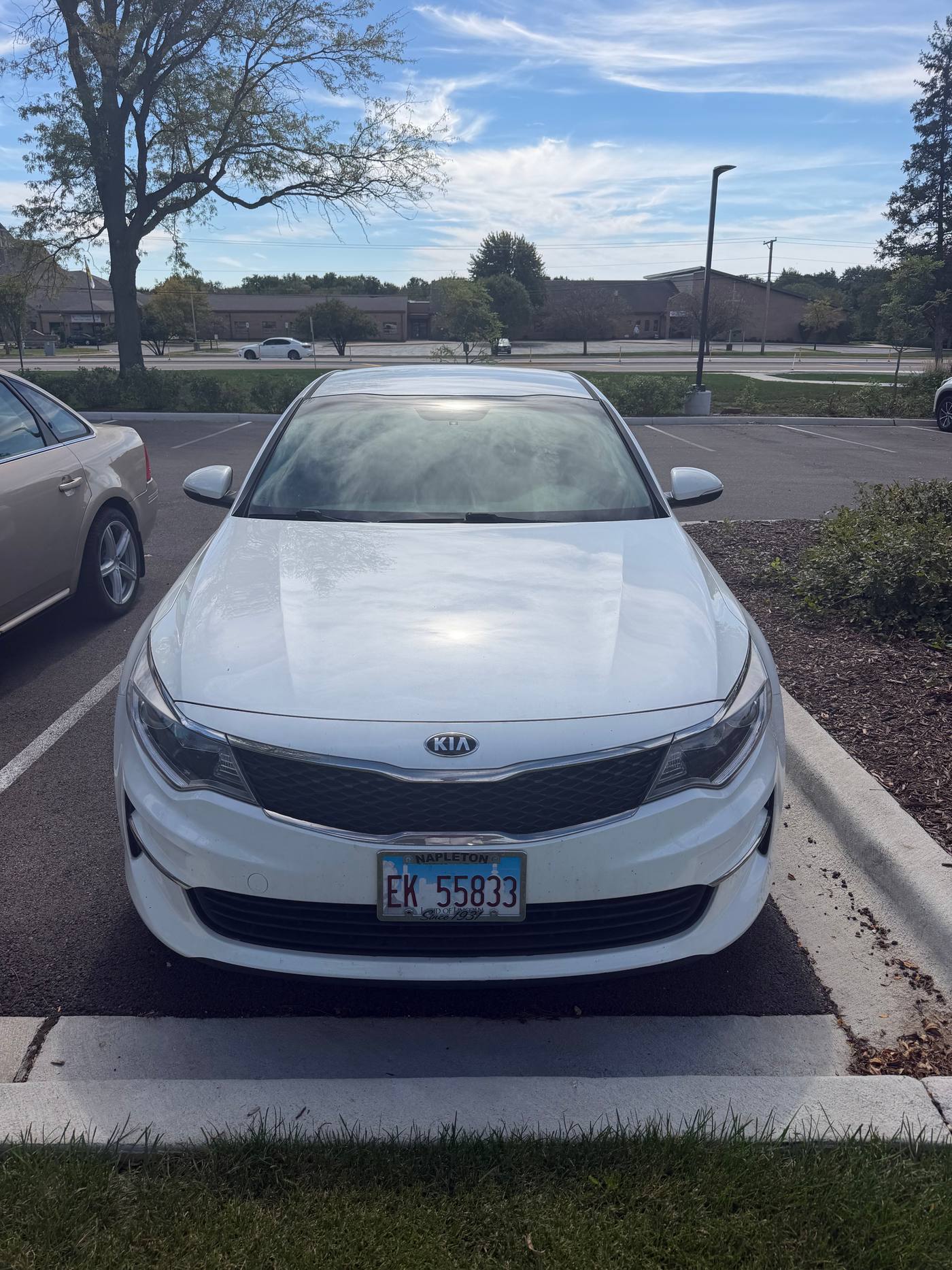 2018 Kia Optima photo 1