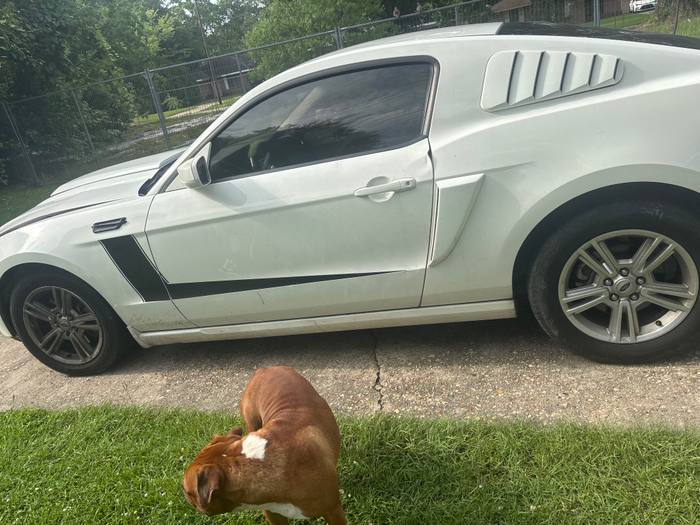 2011 Ford Mustang HO Coupe for sale
